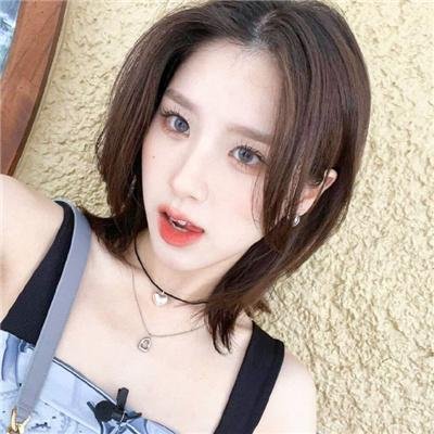 蒂科与鲨鱼